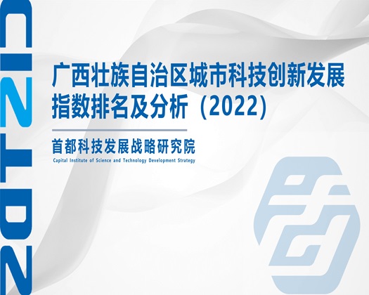 狂操逼的视频【成果发布】广西壮族自治区城市科技创新发展指数排名及分析（2022）